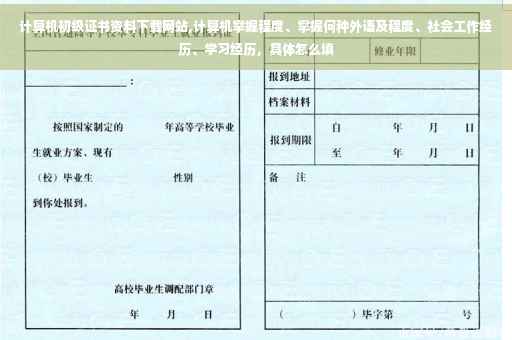 计算机初级证书资料下载网站,计算机掌握程度、掌握何种外语及程度、社会工作经历、学习经历，具体怎么填