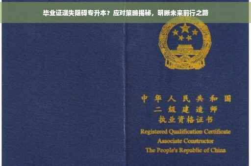 毕业证遗失阻碍专升本？应对策略揭秘，明晰未来前行之路