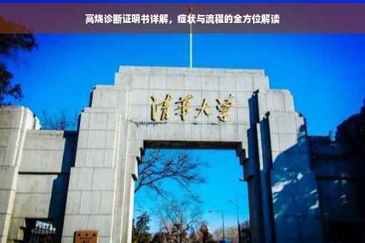 高烧诊断证明书详解，症状与流程的全方位解读