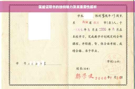 匡威证明书的独特魅力及其重要性解析