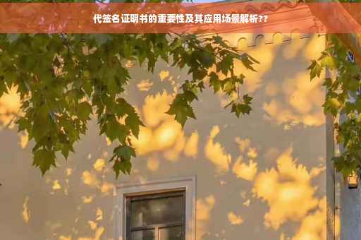 代签名证明书的重要性及其应用场景解析??