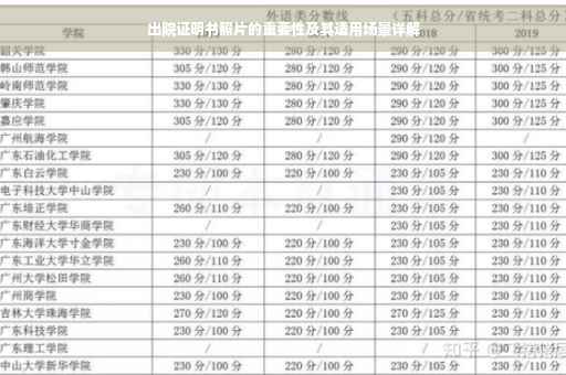 出院证明书照片的重要性及其适用场景详解