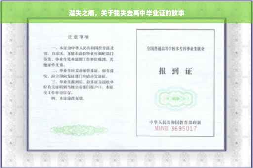 遗失之痛，关于我失去高中毕业证的故事
