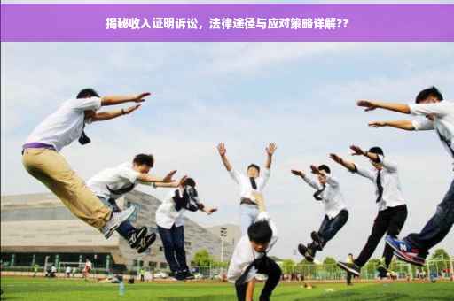 揭秘收入证明诉讼，法律途径与应对策略详解??