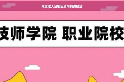 年度收入证明回顾与前瞻展望