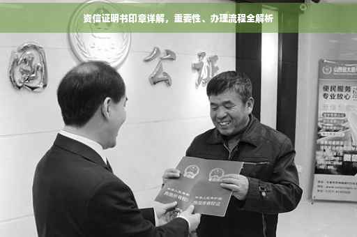 资信证明书印章详解，重要性、办理流程全解析
