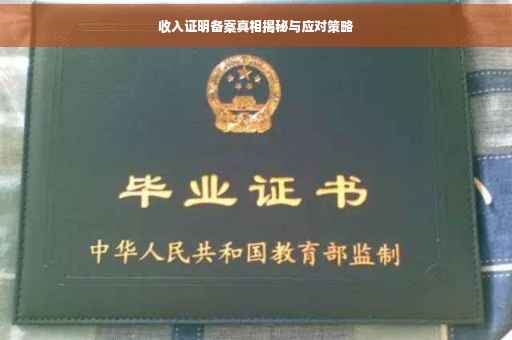 收入证明备案真相揭秘与应对策略