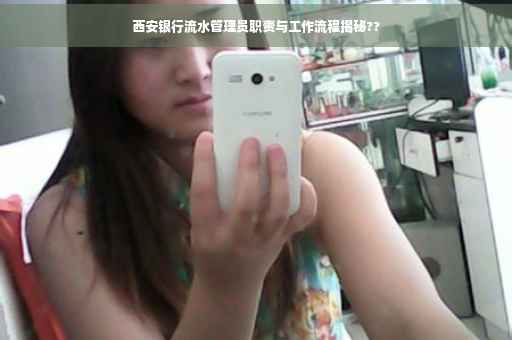西安银行流水管理员职责与工作流程揭秘??