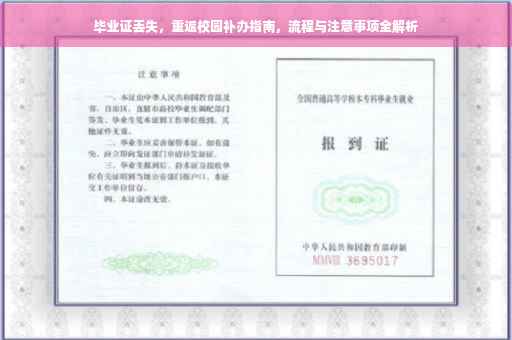 毕业证丢失，重返校园补办指南，流程与注意事项全解析
