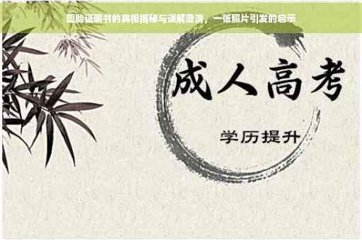 堕胎证明书的真相揭秘与误解澄清，一张照片引发的启示