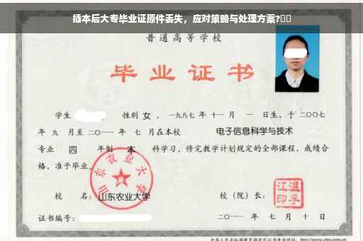 插本后大专毕业证原件丢失，应对策略与处理方案?⚡️