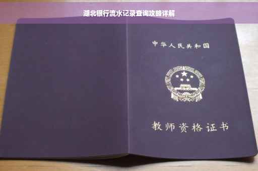 湖北银行流水记录查询攻略详解