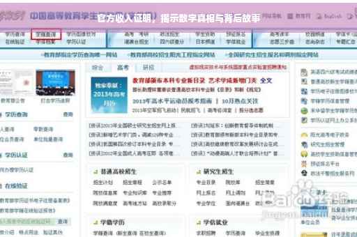 官方收入证明，揭示数字真相与背后故事
