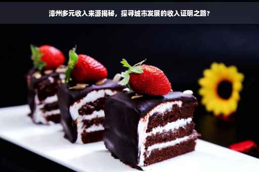 漳州多元收入来源揭秘，探寻城市发展的收入证明之路?