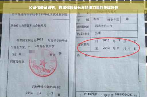 公司信誉证明书，构建信赖基石与品牌力量的关键所在