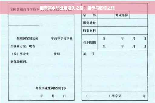 回顾高中毕业证遗失之路，启示与感悟之旅