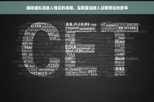 揭秘浦东高收入背后的真相，深度解读收入证明背后的故事