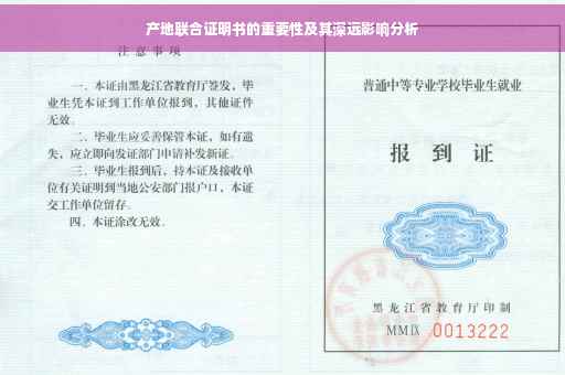 产地联合证明书的重要性及其深远影响分析