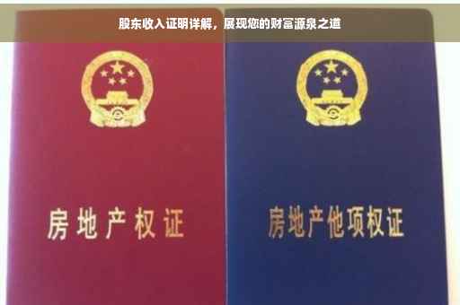 股东收入证明详解，展现您的财富源泉之道