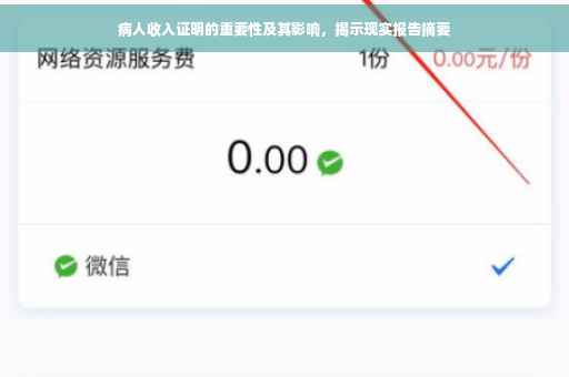 病人收入证明的重要性及其影响，揭示现实报告摘要