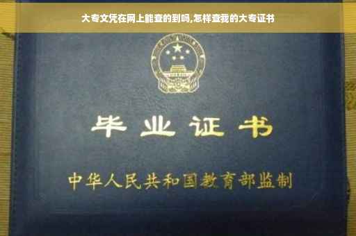 大专文凭在网上能查的到吗,怎样查我的大专证书