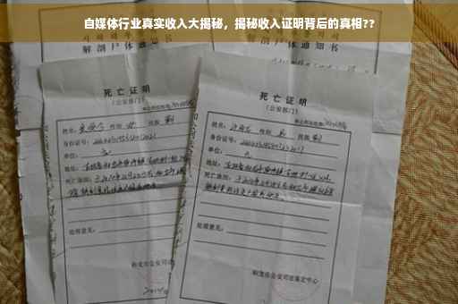 自媒体行业真实收入大揭秘，揭秘收入证明背后的真相??