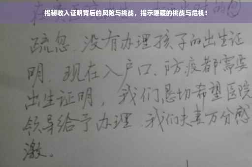 揭秘收入证明背后的风险与挑战，揭示隐藏的挑战与危机！