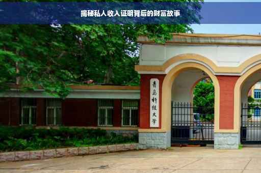 揭秘私人收入证明背后的财富故事