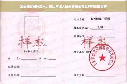 全面解读银行流水，支出与收入记录的重要性及财务影响分析