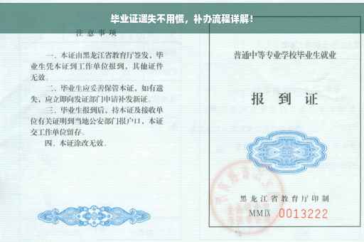 毕业证遗失不用慌，补办流程详解！