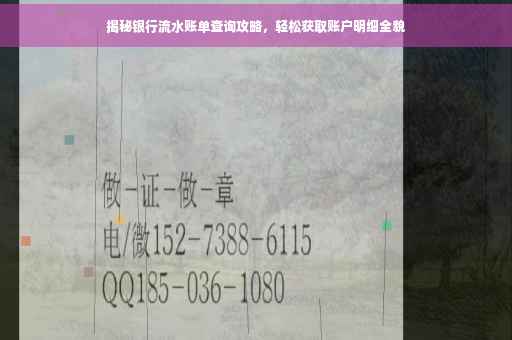 揭秘银行流水账单查询攻略，轻松获取账户明细全貌