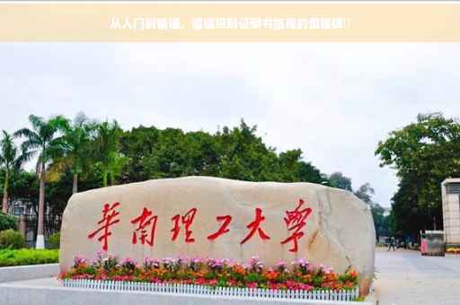 从入门到精通，锻造级别证明书旅程的里程碑✨