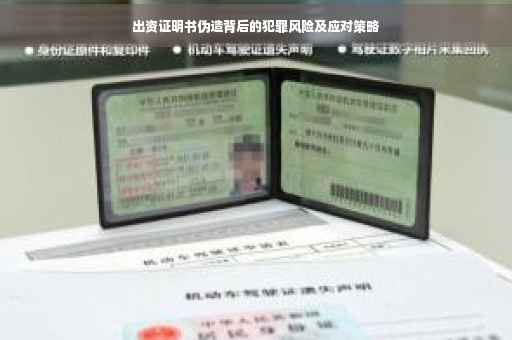 出资证明书伪造背后的犯罪风险及应对策略