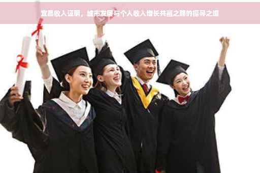 宜昌收入证明，城市发展与个人收入增长共赢之路的探寻之道