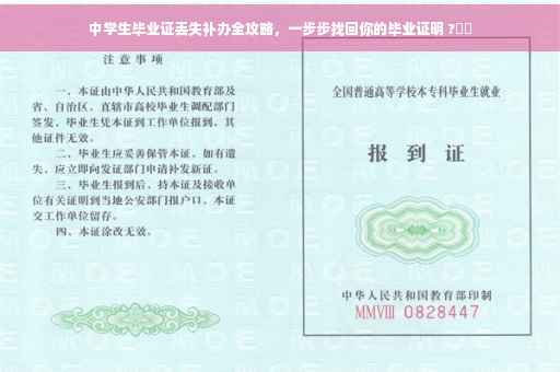 中学生毕业证丢失补办全攻略，一步步找回你的毕业证明 ?⚡️
