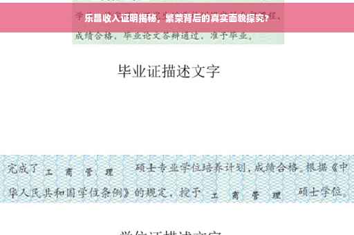 乐昌收入证明揭秘，繁荣背后的真实面貌探究?
