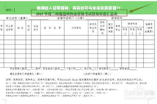 南通收入证明揭秘，真实状况与未来发展展望??