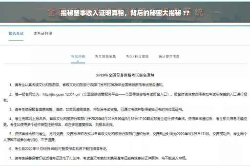 揭秘肇事收入证明真相，背后的秘密大揭秘 ??
