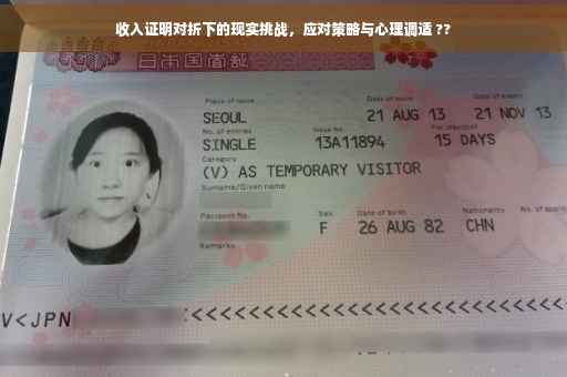 收入证明对折下的现实挑战，应对策略与心理调适 ??
