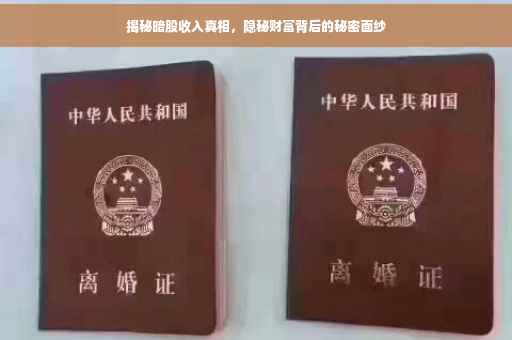 揭秘暗股收入真相，隐秘财富背后的秘密面纱