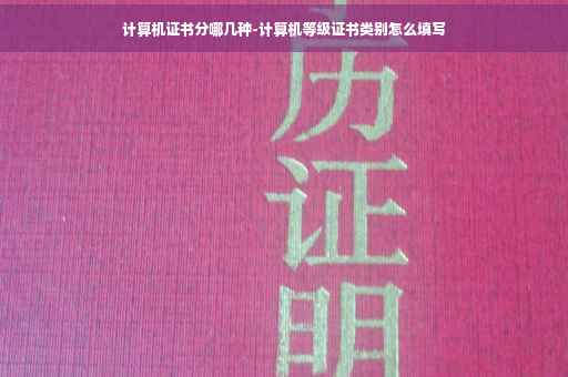 计算机证书分哪几种-计算机等级证书类别怎么填写