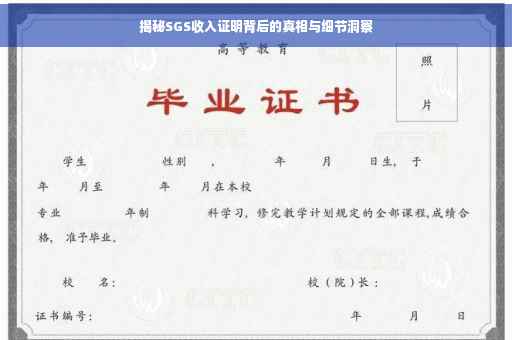 揭秘SGS收入证明背后的真相与细节洞察