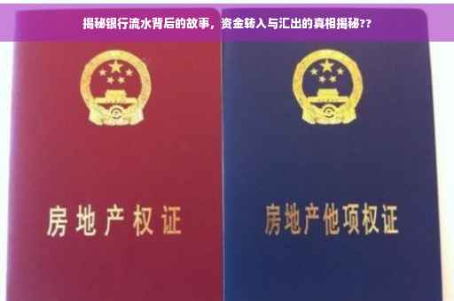 揭秘银行流水背后的故事，资金转入与汇出的真相揭秘??