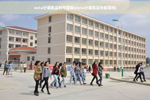 osta计算机证书考哪些(osta计算机证书有用吗)