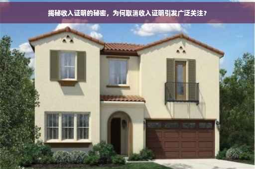 揭秘收入证明的秘密，为何取消收入证明引发广泛关注？