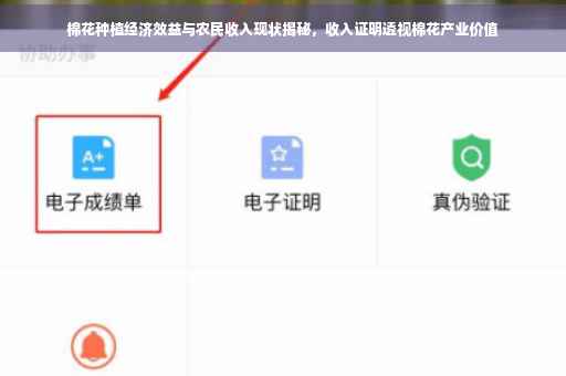 棉花种植经济效益与农民收入现状揭秘，收入证明透视棉花产业价值
