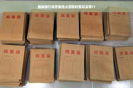 揭秘银行突然查流水原因的背后深意??