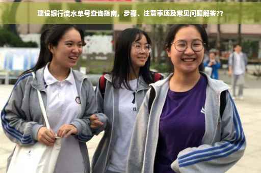 建设银行流水单号查询指南，步骤、注意事项及常见问题解答??