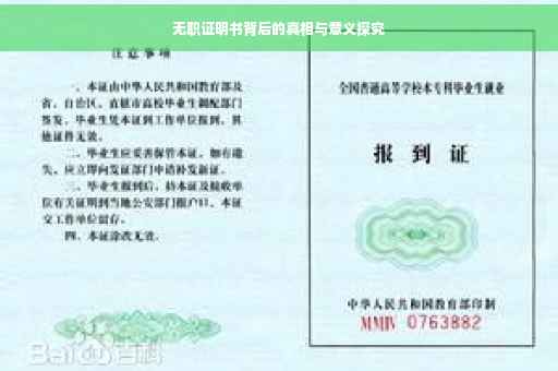 无职证明书背后的真相与意义探究