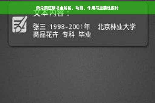承兑票证明书全解析，功能、作用与重要性探讨